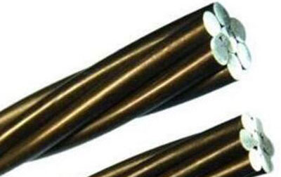 威海预应力钢绞线价格 在国家自然博物馆“遇见鲸” 回望5500万年陆海传奇